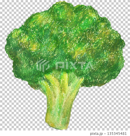 Broccoli illustration oil pastel drawing 135345481