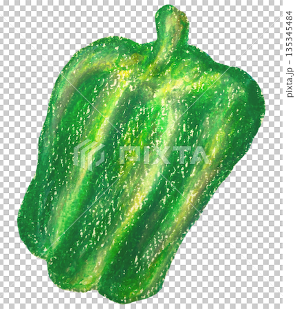 Bell pepper illustration oil pastel drawing 135345484