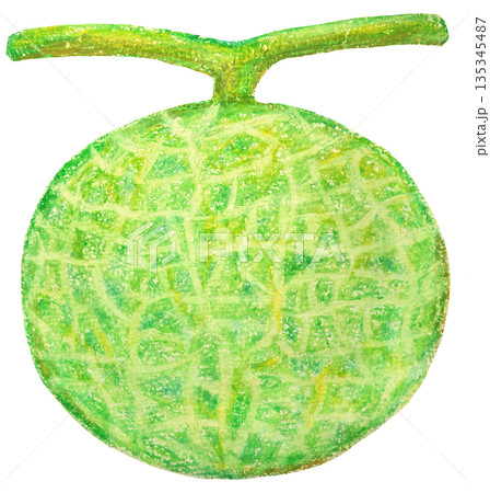 メロンのイラスト オイルパステル画 135345487