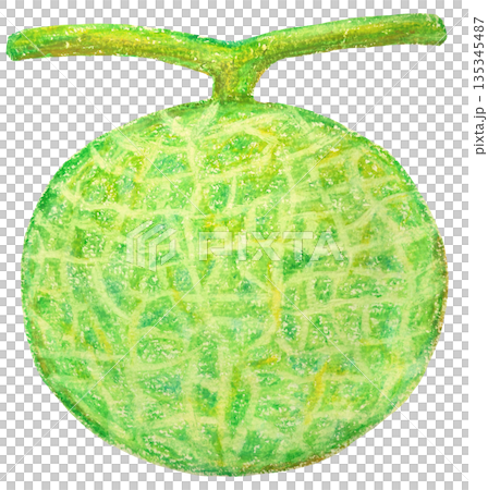 甜瓜插圖油畫棒繪畫 135345487