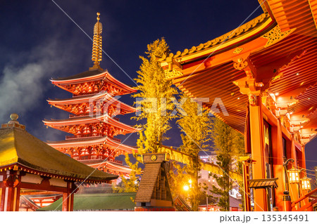 《東京都》正月で賑わう浅草寺 《東京都》正月で賑わう浅草寺 135345491
