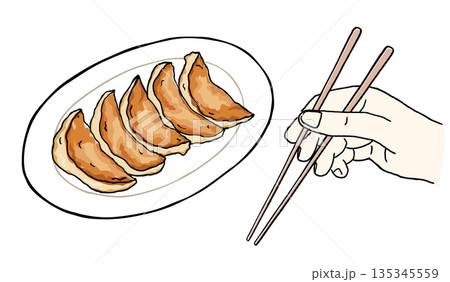 餃子 箸を持つ手 手描きイラスト 135345559