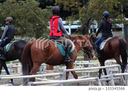乗馬クラブ 135345566