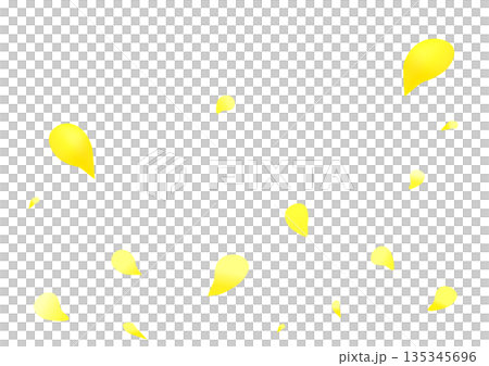 黄色い花びらが舞う背景フレーム 黄色い花びらが舞う背景フレーム 135345696