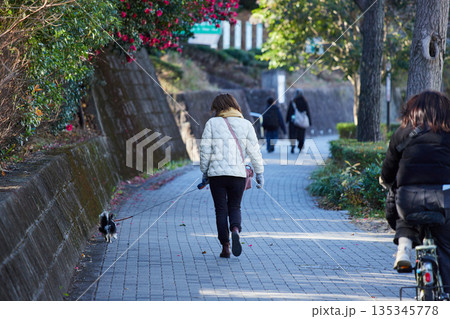 冬の朝の街で犬を連れて散歩している中年女性の姿 冬の朝の街で犬を連れて散歩している中年女性の姿 135345778