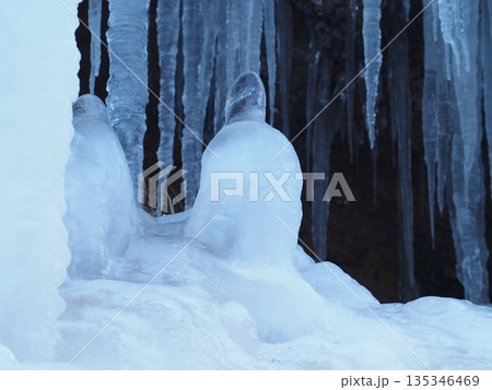 ペンギンのように見える氷塊と氷柱（20260110080254） 135346469