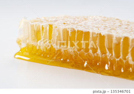 コムハニー 135346701