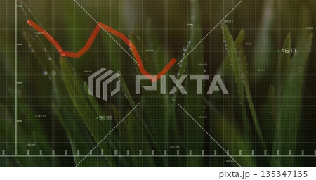 Red jagged line chart overlaying dewy grass at dawn, showing grid, axis ticks, numeric annotations Red jagged line chart overlaying dewy grass at dawn, showing grid, axis ticks, numeric annotations 135347135