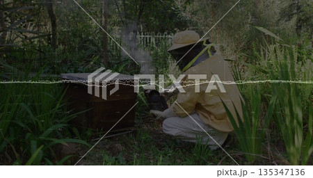 Crouching beekeeper wearing yellow suit using metal smoker beside hive box in garden, copy space Crouching beekeeper wearing yellow suit using metal smoker beside hive box in garden, copy space 135347136