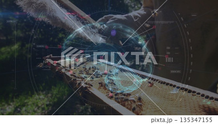 Examining beekeeper wearing gloves holding honeycomb frame with bees at apiary, with HUD analysis 135347155