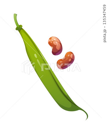 Cartoon raw ripe legume bean. Isolated vector green pod with soybean seeds. Isolated vector organic veggie, crop, protein vegetarian food. Soya vegetable plant, natural healthy food, farming nutrition Cartoon raw ripe legume bean. Isolated vector green pod with soybean seeds. Isolated vector organic veggie, crop, protein vegetarian food. Soya vegetable plant, natural healthy food, farming nutrition 135347459