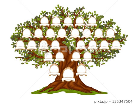 Ancestry history genealogy family tree branches. Vector circular frames with banners arranged across the tree for inserting portraits and names. Isolated genealogy family history oak tree template 135347504