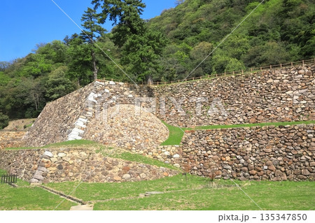 【鳥取県】晴天の鳥取城の天球丸(巻石垣) 【鳥取県】晴天の鳥取城の天球丸(巻石垣) 135347850