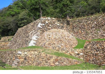 【鳥取県】晴天の鳥取城の天球丸（巻石垣） 135347851