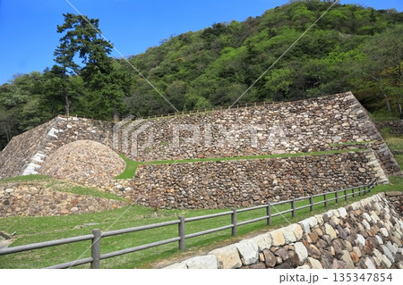 【鳥取県】晴天の鳥取城の天球丸（巻石垣） 135347854