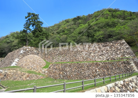【鳥取県】晴天の鳥取城の天球丸（巻石垣） 135347856