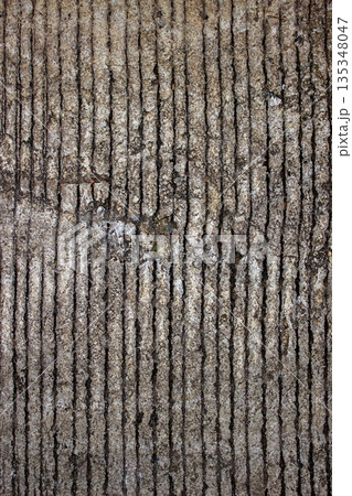 texture of bark wood 135348047