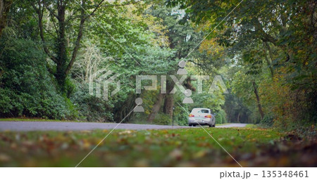 Driving white sedan following winding paved rural forest road, with fallen leaves on grass verge Driving white sedan following winding paved rural forest road, with fallen leaves on grass verge 135348461