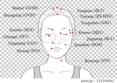 顔のツボ全体図(英語表記)のイラスト素材 顔のツボ全体図(英語表記)のイラスト素材 135349061