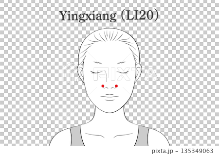 迎香(げいこう)のツボのイラスト素材(英語表記) 迎香(げいこう)のツボのイラスト素材(英語表記) 135349063