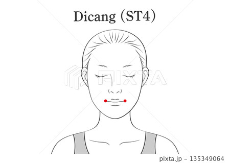 地倉（ちそう）のツボのイラスト素材（英語表記） 135349064