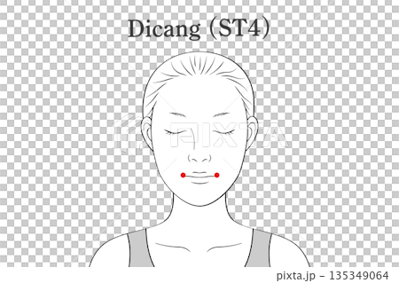 地倉（ちそう）のツボのイラスト素材（英語表記） 135349064