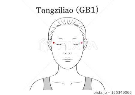 瞳子髎（どうしりょう）のツボのイラスト素材（英語表記） 135349066