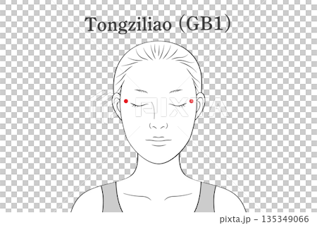 瞳子髎（どうしりょう）のツボのイラスト素材（英語表記） 135349066