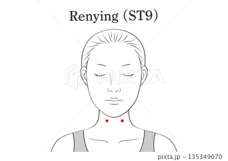 人迎（じんげい）のツボのイラスト素材（英語表記） 135349070