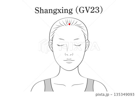 上星（じょうせい）のツボのイラスト素材（英語表記） 135349093