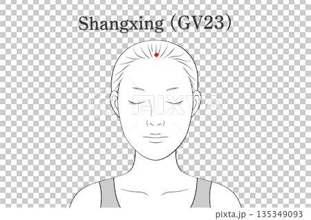 上星（じょうせい）のツボのイラスト素材（英語表記） 135349093