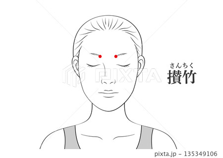 攅竹（さんちく）のツボのイラスト素材 135349106