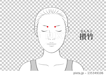 攅竹（さんちく）のツボのイラスト素材 135349106