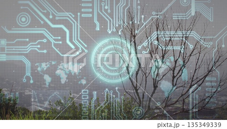 Showing leafless tree standing on grassy slope viewing urban valley, with HUD overlays, copy space Showing leafless tree standing on grassy slope viewing urban valley, with HUD overlays, copy space 135349339