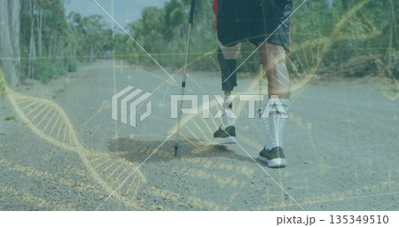 Walking man using trekking poles on gravel trail, with prosthetic limb and DNA helix, copy space 135349510
