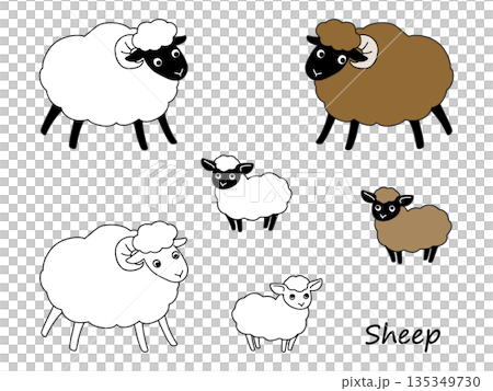 かわいい羊の手描きイラスト素材 135349730