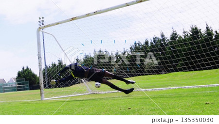 Diving goalkeeper stretching on soccer field grass wearing gloves, with ball nearing goalpost net 135350030