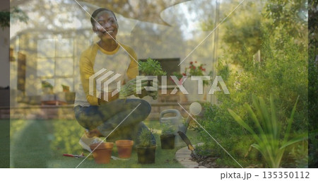Woman in yellow shirt and gardening gloves planting seedling on lawn edge, with terra cotta pots 135350112