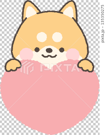 A brown Shiba Inu peeking out from above the heart 135350275