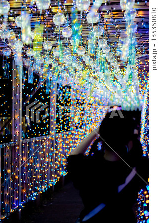 【愛知県飛島村】とびしま宵あかり　風鈴とイルミネーションの絶景を眺める女性 135350810