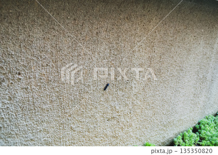 various 135350820