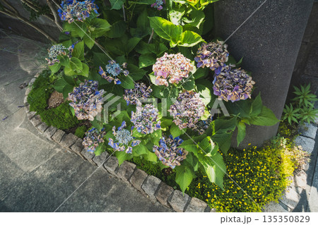 various various 135350829