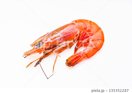 一匹の大きな生のアルゼンチンアカエビ 135352287