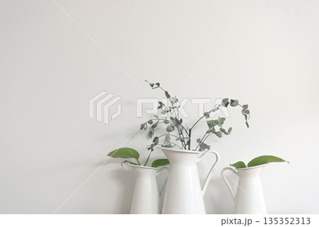 観葉植物のある部屋 観葉植物のある部屋 135352313