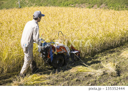 稲刈りイメージ　手押しの稲刈り機バインダーを使って稲を刈る男性 135352444