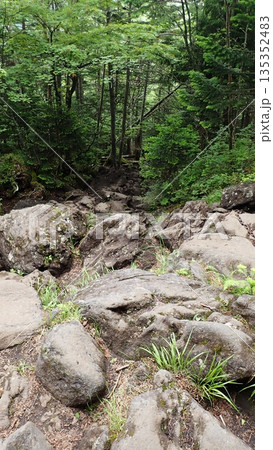 蓼科山登山（長野県茅野市） 135352483