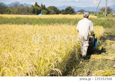 稲刈りイメージ　手押しの稲刈り機バインダーを使って稲を刈る男性 135352506