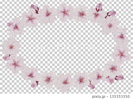 【桜の花の丸フレーム】手刺繍イラスト素材 135353350