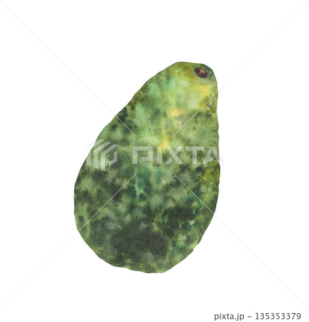 Watercolor whole avocado fruit. One ripe avocado with textured green skin, peel and stem. Hand drawn illustration isolated from background for vegetable food design, healthy vegan product packaging. Watercolor whole avocado fruit. One ripe avocado with textured green skin, peel and stem. Hand drawn illustration isolated from background for vegetable food design, healthy vegan product packaging. 135353379