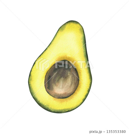 Watercolor avocado cut in half with brown seed. Hand drawn realistic green fruit illustration isolated from background for food design, healthy lifestyle packaging, menus, exotic vegetables label. 135353380